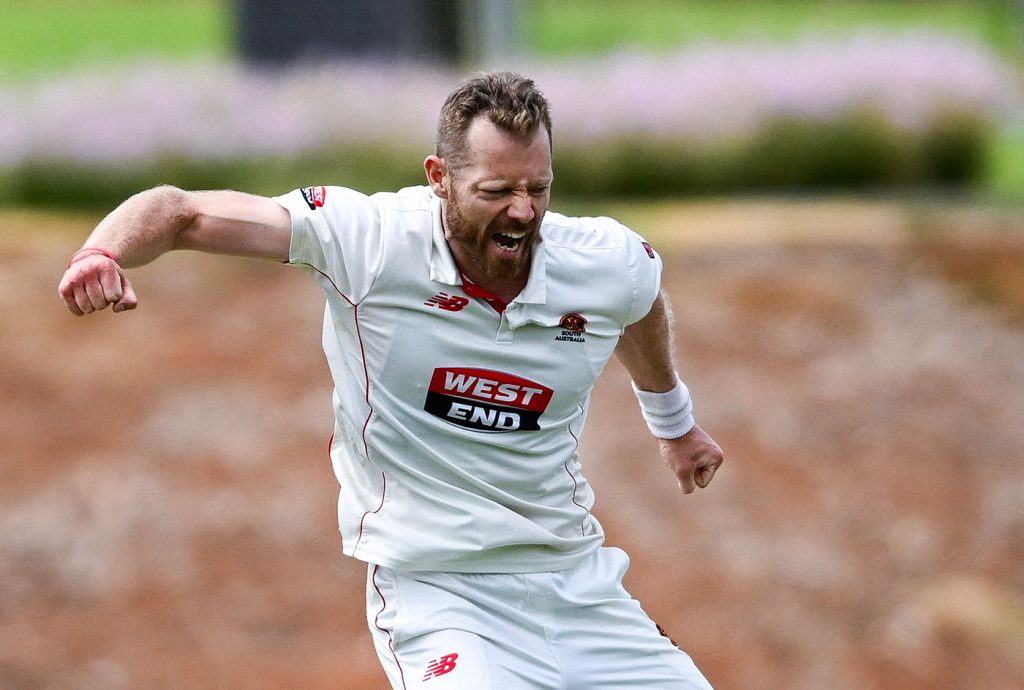 McAndrew, Head power South Australia towards Shield final