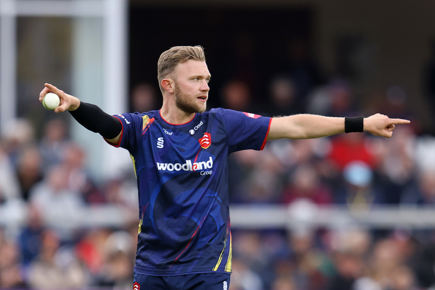 Harmer and Cook help Essex hand out Hove thrashing